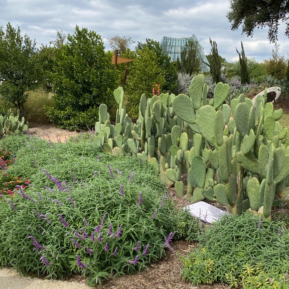 Meet your Posher, LC - Picture 12 of 14